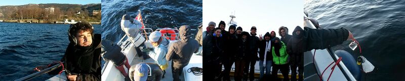 File:Fjords boat trip deep diving.jpg